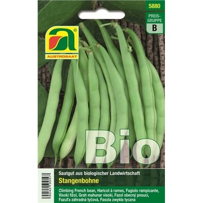 AUSTROSAAT Bio fazuľa tyčová "Neckarkönigin" - 1 bal.