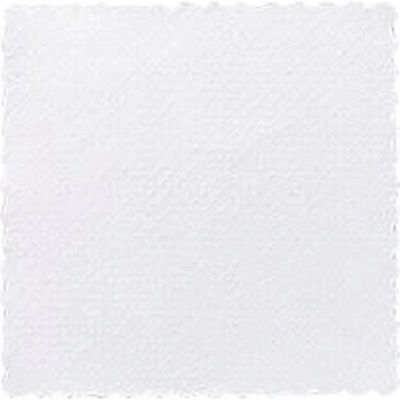 SAHM Obrúsok papier WHI 100021908 17x17cm 4000ks