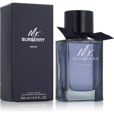 Burberry Mr. Burberry Indigo toaletná voda pánska 150 ml