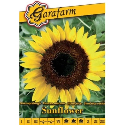 Slnečnica ozdobná Sunspot 1g