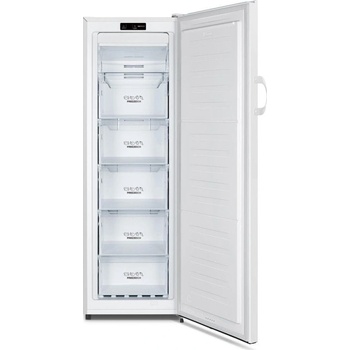 GORENJE FN417DCW