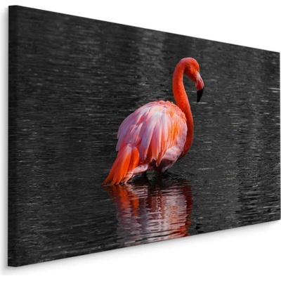 MyBestHome BOX Plátno Plameňák Ve Vodě Varianta: 70x50