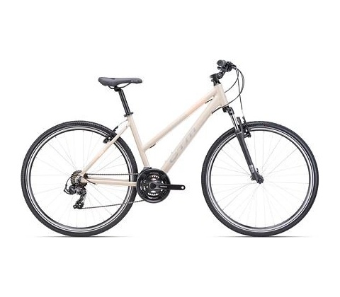 CTM Maxima 1.0 2025