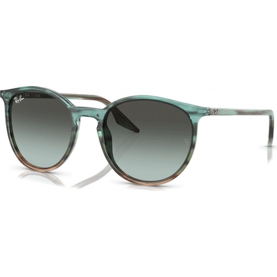 Ray-Ban RB2204 1394GK