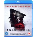 Anthropoid BD