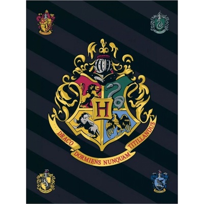 Jerry Fabrics fleece deka Harry Potter