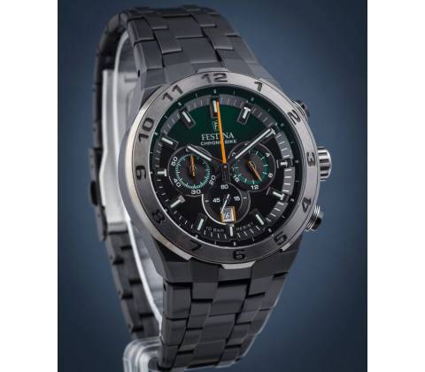 Festina 20673/2