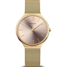 Bering 18434-336