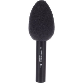 Sennheiser E914