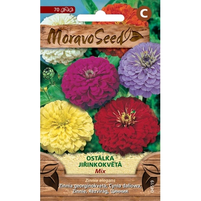 Zinnia elegans/Ostálka georgínokvetá/zmes MS 4519