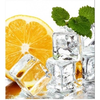 DIMEX ART s. r. o Флизелинов фототапет лимон и лед 225 x 250 см