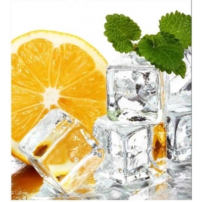 DIMEX ART Флизелинов фототапет лимон и лед 225 x 250 см