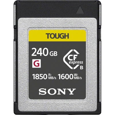 Sony 240 GB CEBG240T