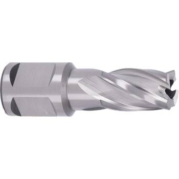 ABSE N-HS-W19-0140025