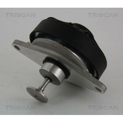 AGR-Ventil TRISCAN 8813 24202