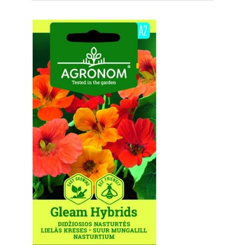 Image 1 of Seklos Латинка увивна Gleam Hybrids