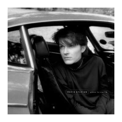 Sylvian David - Gone To Earth Vinyl LP