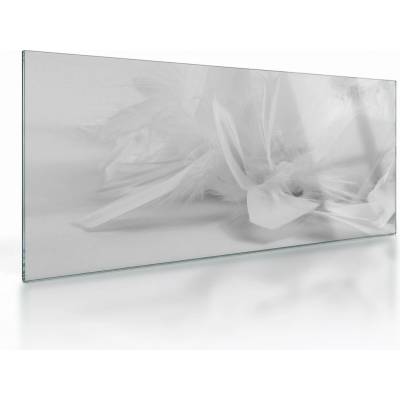 Sklenený obraz - Perie, jednodielne 100x50 cm na skle