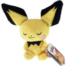 Sleeping Pichu Pokémon