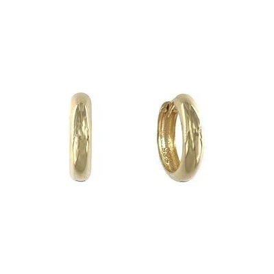INFINITYSILVER Stříbrné náušnice kroužky zlacené ALIA OE1148G
