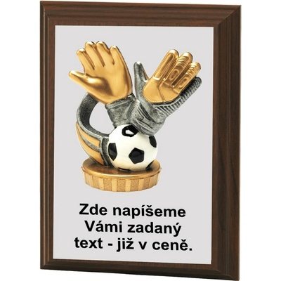 VIZINGR Fotbal brankář plaketa H120-L425