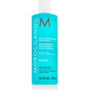 Moroccanoil Scalp Balancing Shampoo 250 ml