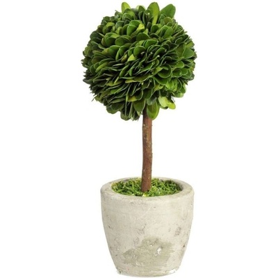 Buxus na kmienku v kvetináči - Ø10 * 24 cm - J-Line by Jolipa
