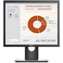 Dell P1917SE