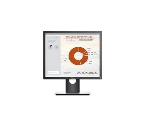 Dell P1917SE