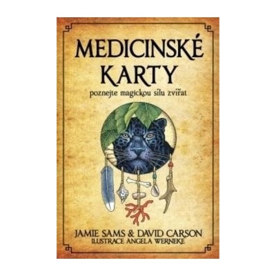 Medicinské karty (Kniha a 52 karet) - Jamie Sams, David Carson