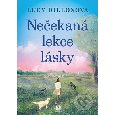 Nečekaná lekce lásky - Lucy Dillon – Hledejceny.cz