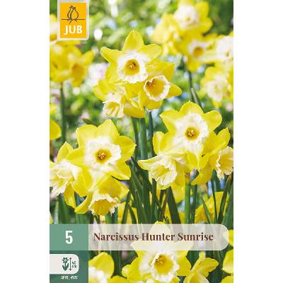 JUB Narcis - Hunter Sunrise