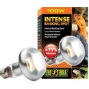 Hagen Exo Terra Intense Basking Spot 100 W