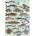 Trefl - Puzzle Premium Plus Finders Keepers: Fish - 500 piese