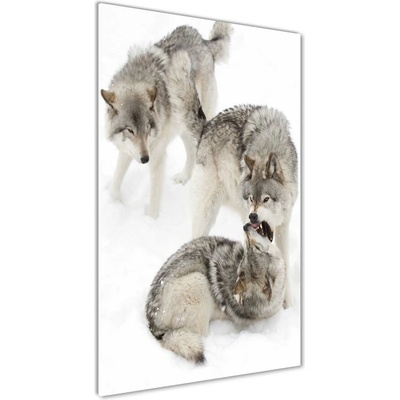 Vertikálny fotoobraz na skle Šedí vlci 50x100 cm