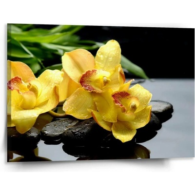Sablio Obraz Žluté orchideje - 150x110 cm