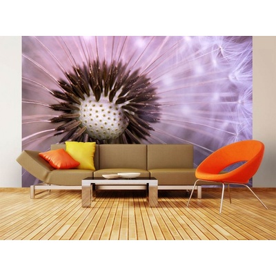 Dimex MS-5-0124 vliesová fototapeta na zeď Pampeliška rozměry 375 x 250 cm