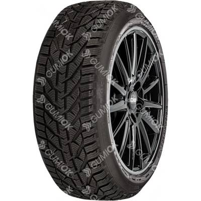 RIKEN SNOW 195/55 R16 87T