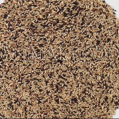 Deli Nature 53 Canaries Extra 4 kg