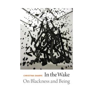 In the Wake | Christina Sharpe (ISBN: 9780822362944)