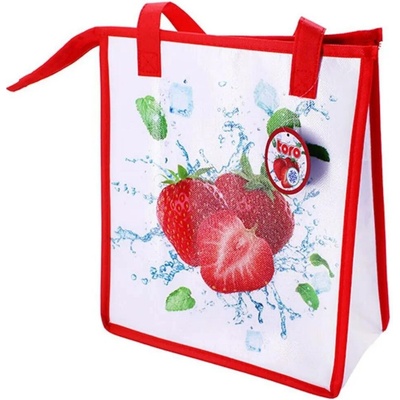 TAŠKA CHLADÍCÍ NA ZIP JAHODA 33X28X13CM