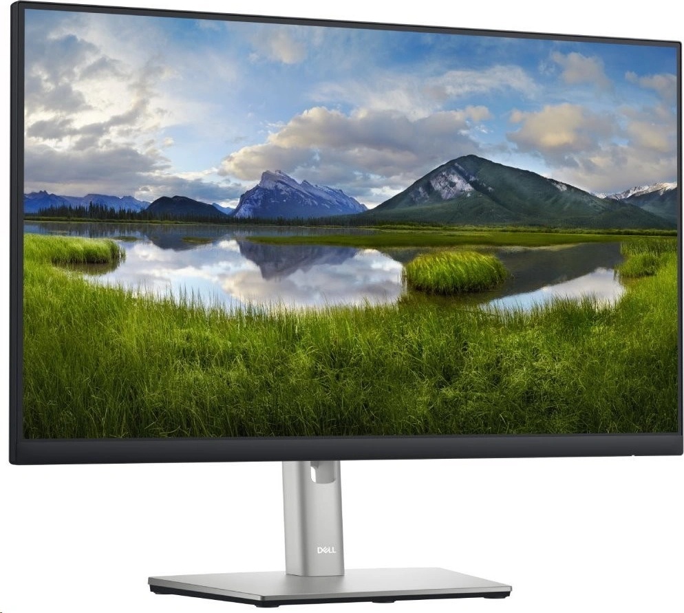 Dell P2422HE