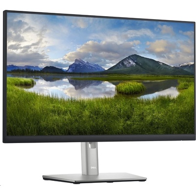 Dell P2422HE