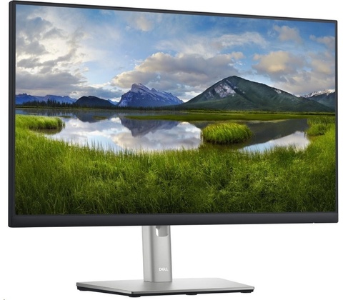 Dell P2422HE