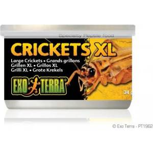 Hagen CANNED FOODS SPECIALTY REPTILE FOOD Crickets XL - консервирани щурци 34g - PT1962