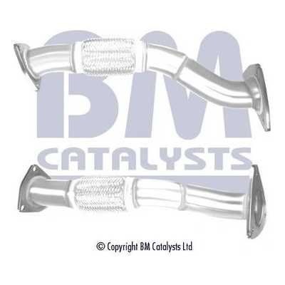 BM CATALYSTS BM50486