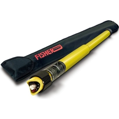 Fisher FPID 2100