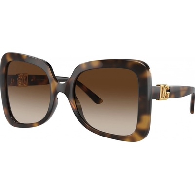 Dolce & Gabbana DG6193U 502 13