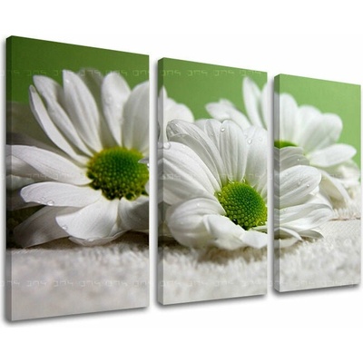Obraz na stenu KVETY - 90x60