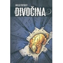 Divočina